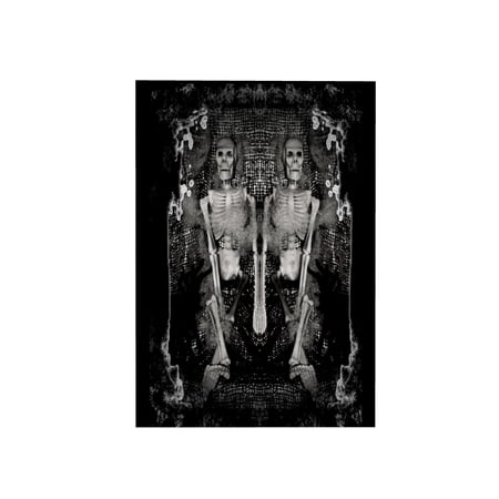 3dRose, Two skeletons sitting with spiders, 15x22 Hand Towel