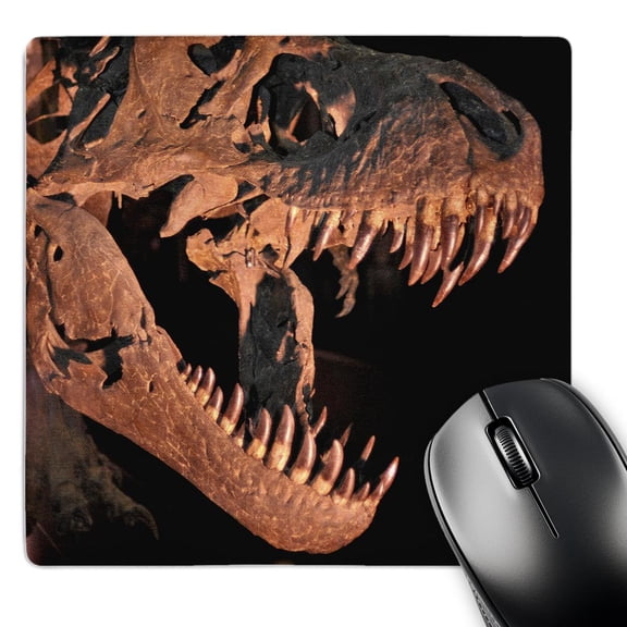 3dRose, Tyranosaurus rex from the cretacic , MousePad