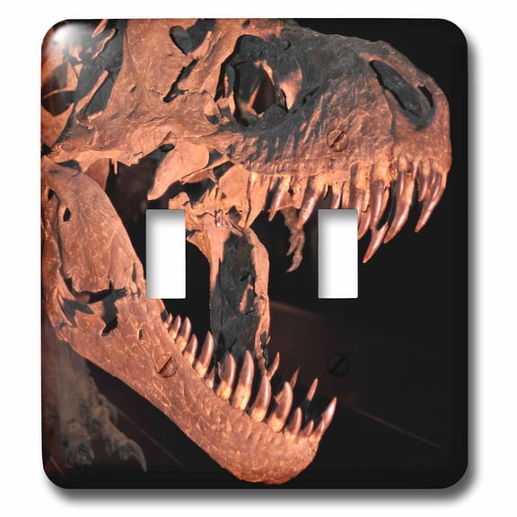 3dRose, Tyranosaurus rex from the cretacic , double toggle switch