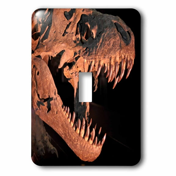 3dRose, Tyranosaurus rex from the cretacic , single toggle switch