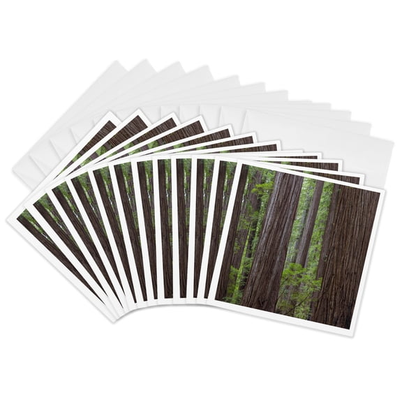 3drose, Usa, California, Humboldt Redwoods State Park. Redwood Tree Scenic., 12 Greeting Cards with Envelopes