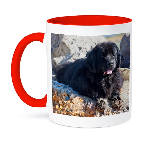 3dRose, USA, California. Newfoundland lying with sandy paws., 15oz Two-Tone Red Mug