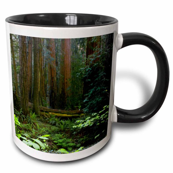 3drose, Usa, California. Redwoods in Muir Woods Nm., 15oz Two-tone Black Mug