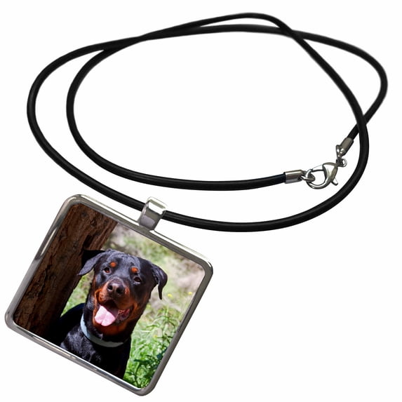 3dRose, USA, California. Rottweiler by a tree., Necklace With Rectangle Pendant