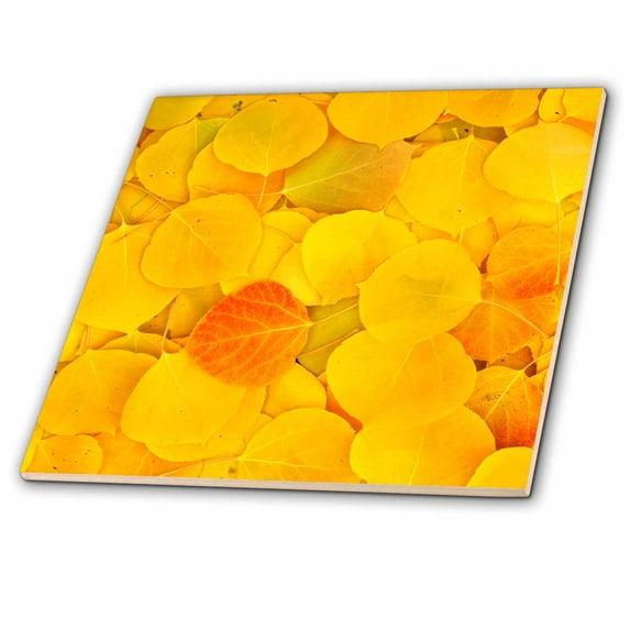 3dRose, USA, California, Sierra Nevada. Fallen aspen leaves close up., 12 Inch Ceramic Tile