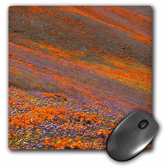 3dRose, USA, California, Tehachapi Mountains, California Poppies, MousePad