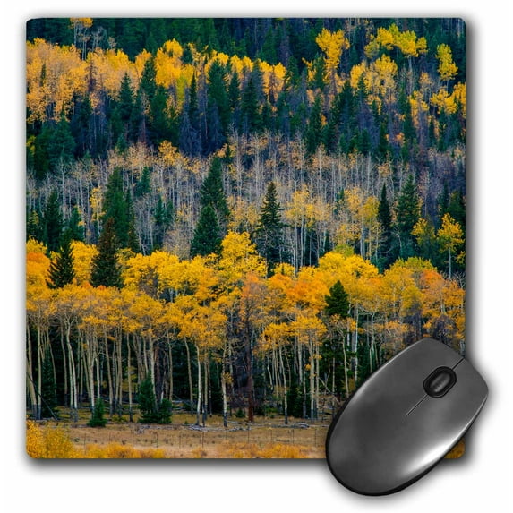 3dRose, USA, Colorado. Aspens and evergreens in Rocky Mountain NP., MousePad