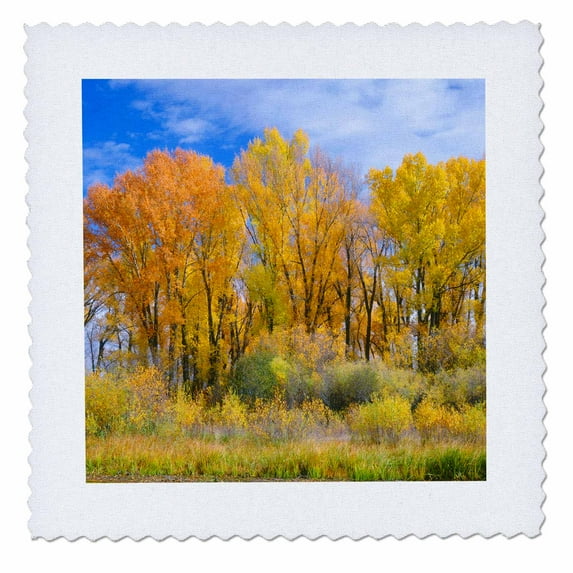 3dRose, USA, Colorado, Curecanti NRA, Cottonwood and willows in fall color., 10x10 inch quilt square