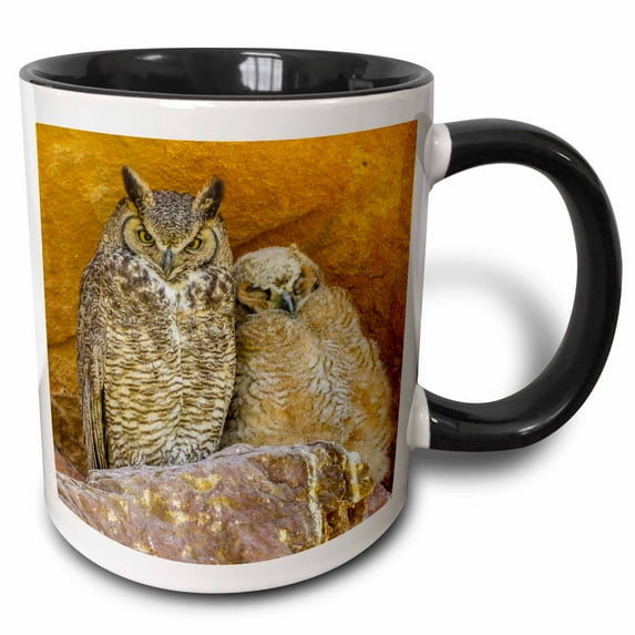 3drose, Usa, Colorado, Red Rocks State Park. Great Horned Owl and Owlet., 15oz Two-tone Black Mug