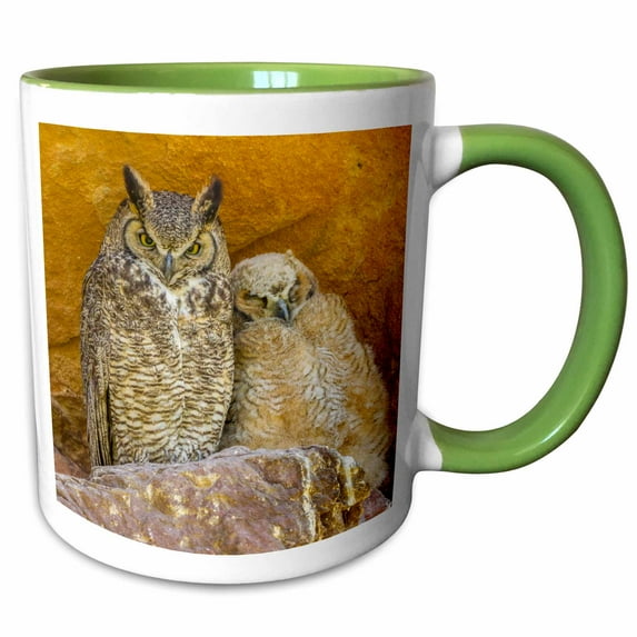 3drose, Usa, Colorado, Red Rocks State Park. Great Horned Owl and Owlet., 15oz Two-tone Green Mug