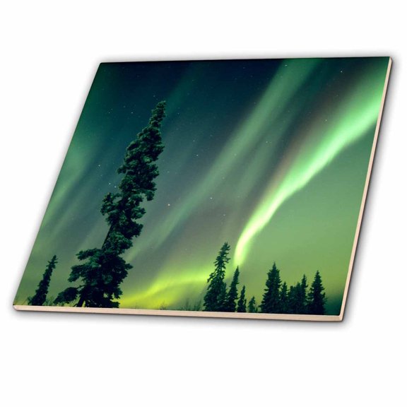 3dRose, USA, Fairbanks, Aurora Borealis, Northern Lights - US02 KSC0031 - Kevin Schafer, 4 Inch Ceramic Tile