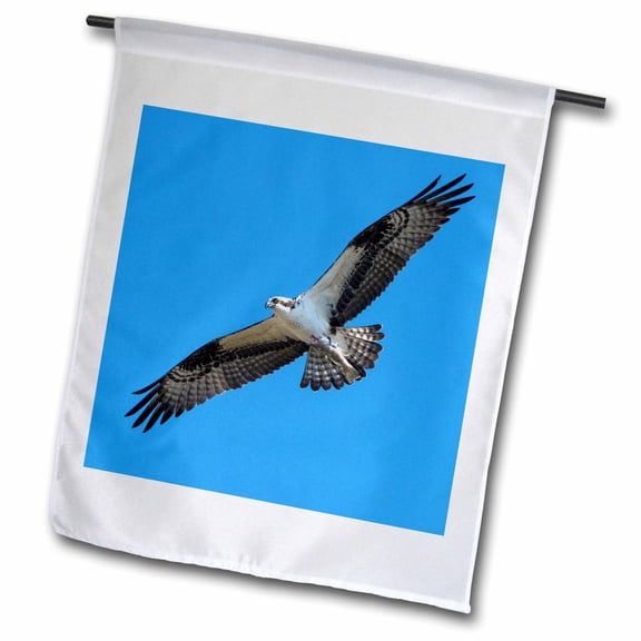 3dRose, USA, Florida, Edgewater, Osprey flying with fish , 12 x 18 inch Garden Flag