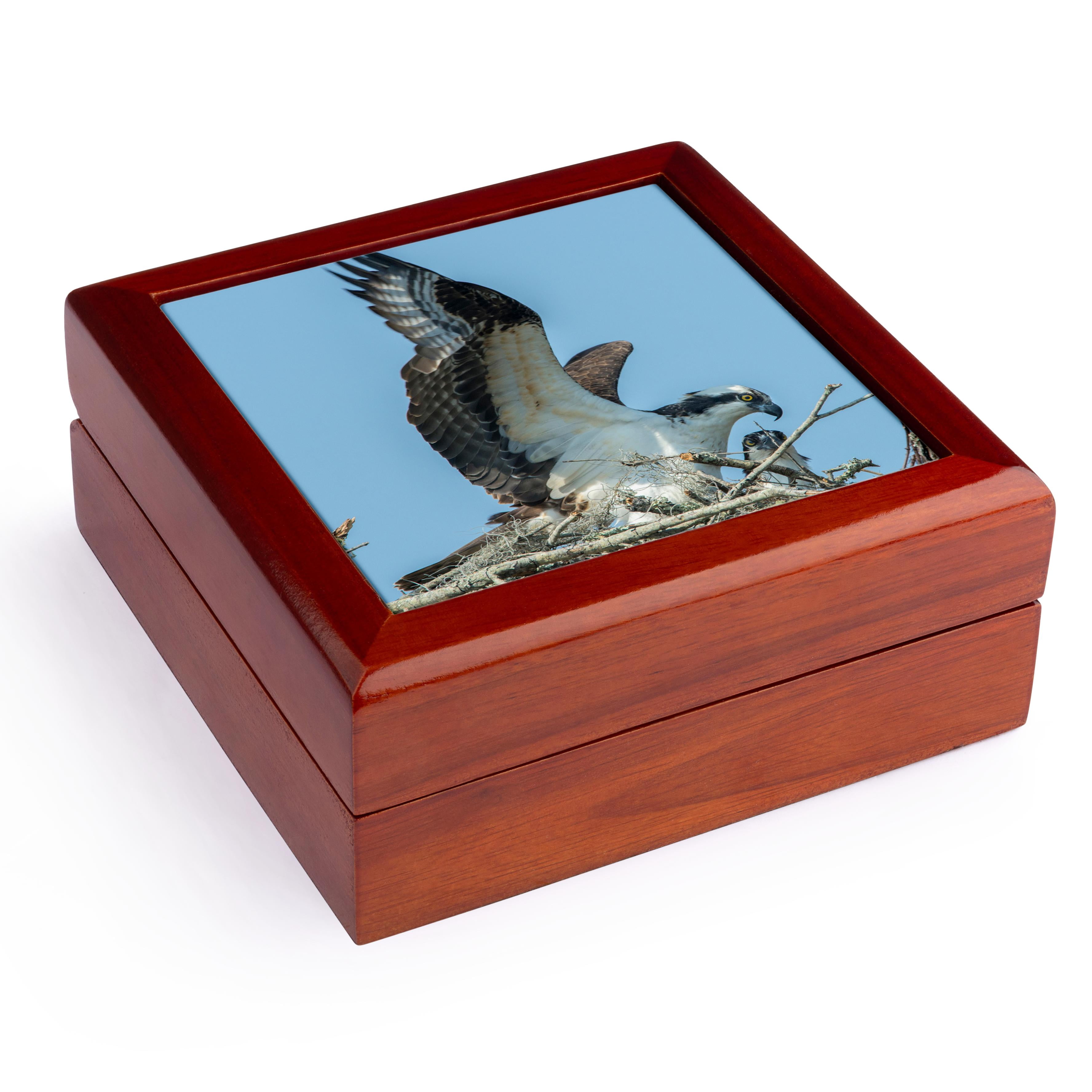 3dRose, USA, Florida, Edgewater, Osprey on nest., Jewelry Box 5.5x5.5 ...
