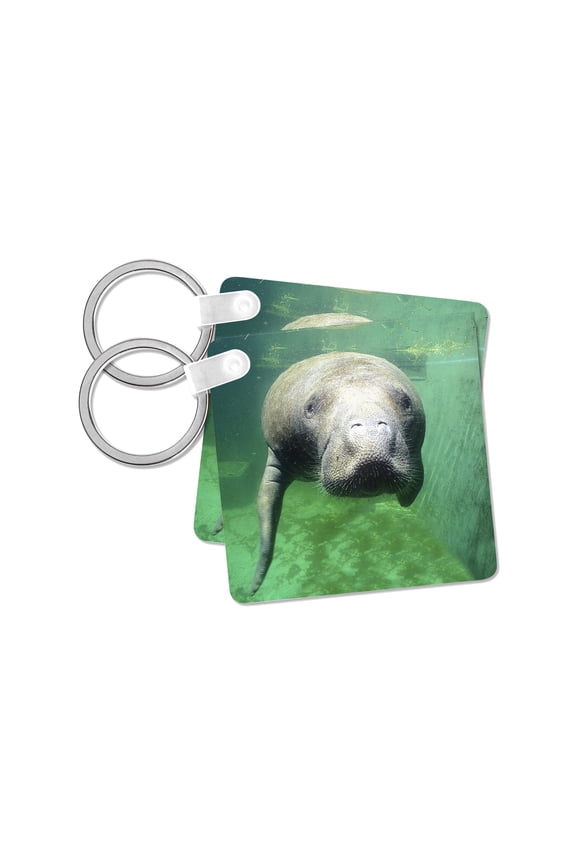 , USA, Florida, Key West, Manatee - US10 GJO0382 - Greg Johnston, set of 2 Key Chains