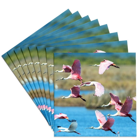 3dRose, USA, Florida, Merritt Island, NWR, Roseate Spoonbills , Set of 8 Ceramic Tile Coasters