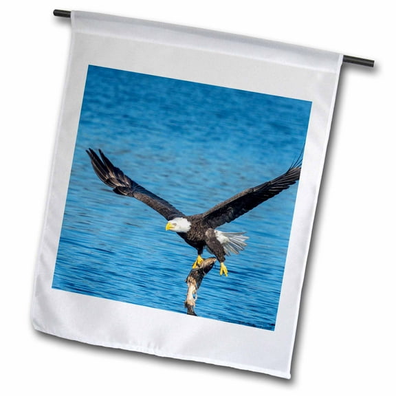 3dRose, USA, Florida, Orange City, St. John River, eagle catching fish, 18 x 27 inch Garden Flag