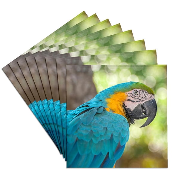 3dRose, USA, Florida, Orlando, Blue-and-Yellow Macaw, Gatorland., Set of 8 Ceramic Tile Coasters