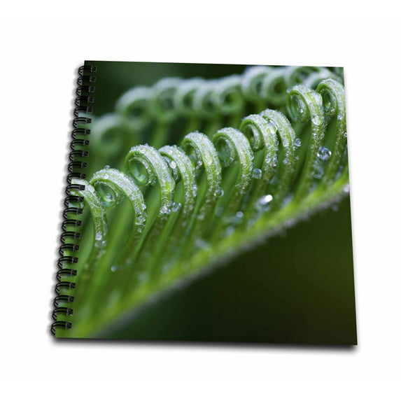 3dRose, USA, Georgia, Savannah, Close-up of new fronds on a sago palm., Mini Notepad 4 x 4 inch