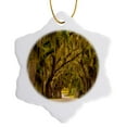 thumbnail image 1 of 3drose, Usa, Georgia, Savannah, Entrance Drive to Bethesda School in Savannah., 3 inch Snowflake Porcelain Ornament, 1 of 7