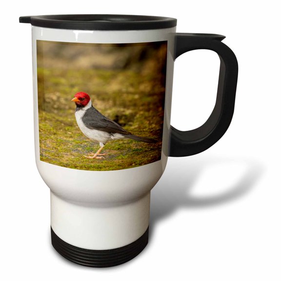 3dRose, USA, Hawaii, Honokohau Bay. Yellow-billed cardinal close-up., 14oz Stainless Steel Travel Mug