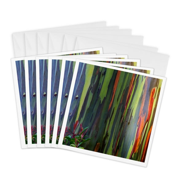 3drose, Usa, Hawaii, Maui, Colorful Rainbow Eucalyptus Tree Bark, 6 Greeting Cards with Envelopes