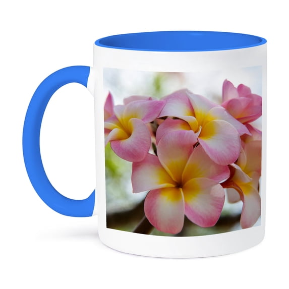 3dRose, USA, Hawaii, Oahu, Plumeria flower in a garden., 11oz Two-Tone Blue Mug