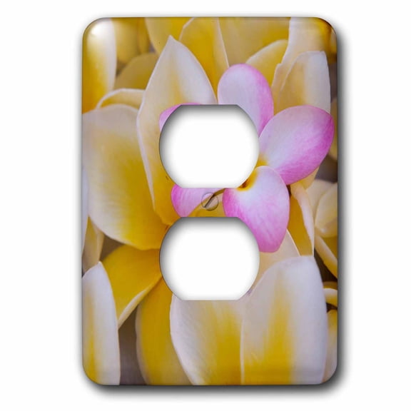 3dRose, USA, Hawaii, Oahu, Plumeria flowers blooming, 2 plug outlet cover