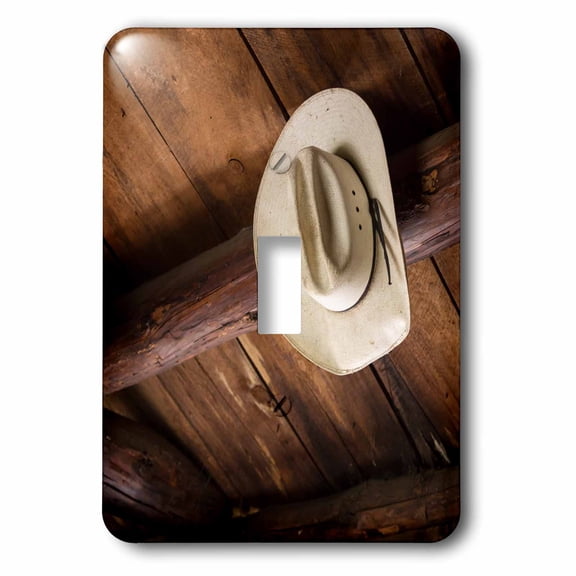 3dRose, USA, Idaho. Cowboy hat in abandoned cabin, single toggle switch