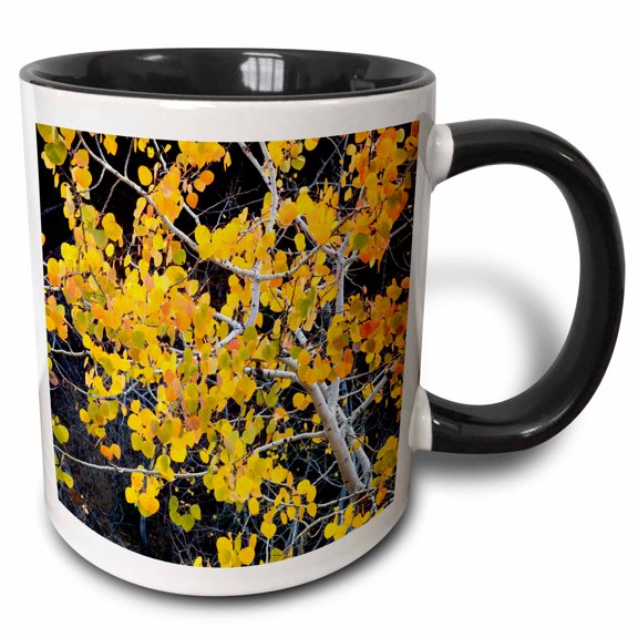 3drose, Usa, Idaho, Sawtooth National Forest, Aspen., 11oz Two-tone Black Mug