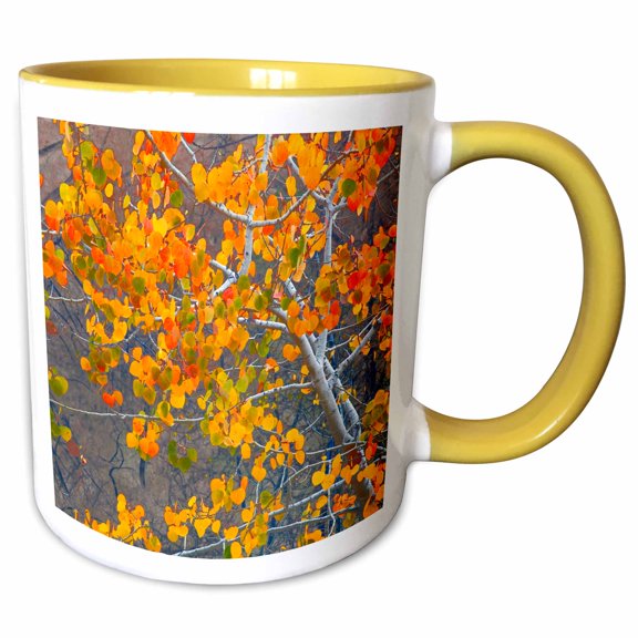 3drose, Usa, Idaho, Sawtooth National Forest, Aspen., 11oz Two-tone Yellow Mug