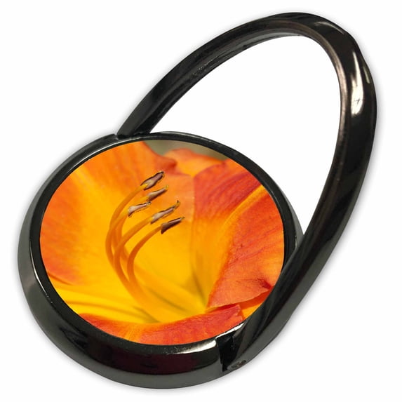 3dRose, USA, Kansas, Orange Flower Micro Shot., Phone Ring
