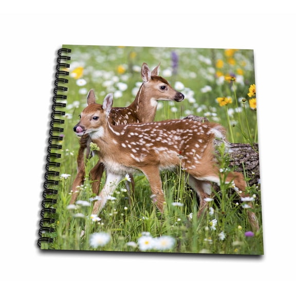 3dRose, USA, Minnesota, Sandstone, Two Fawns Amidst Wildflowers, Mini Notepad 4 x 4 inch