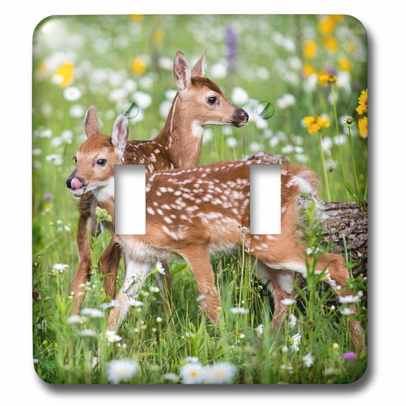 3dRose, USA, Minnesota, Sandstone, Two Fawns Amidst Wildflowers, double toggle switch