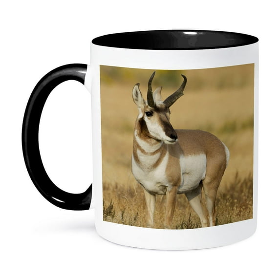 3dRose, USA, Montana, Pronghorn antelope - US27 JMC0016 - Joe and Mary Ann McDonald, 15oz Two-Tone Black Mug