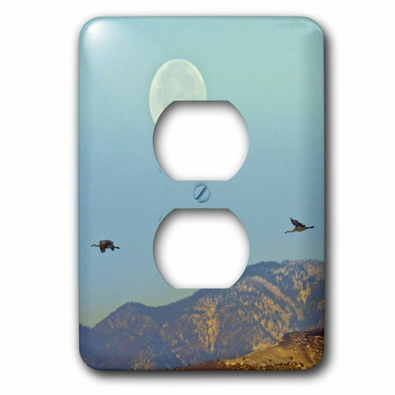 3dRose, USA, New Mexico, Sandhill crane birds flying - US32 BJY0008 - Jaynes Gallery, 2 plug outlet cover