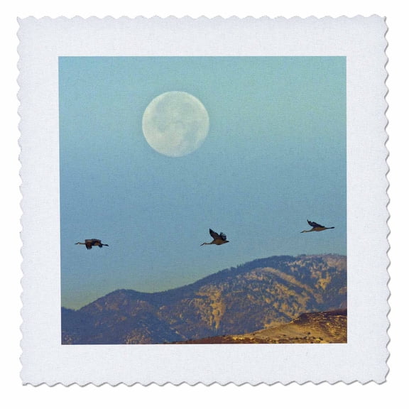 3dRose, USA, New Mexico, Sandhill crane birds flying - US32 BJY0008 - Jaynes Gallery, 6x6 inch quilt square