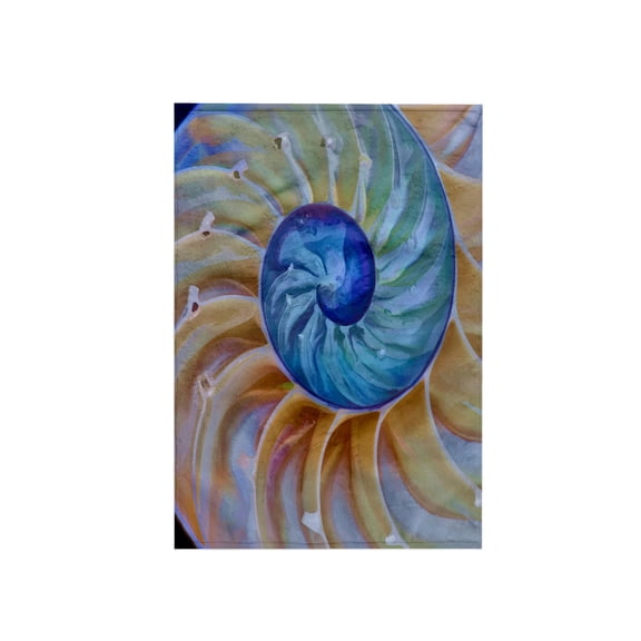 3dRose, USA, Oregon. Close-up of chambered nautilus cut in half., 15x22 Hand Towel