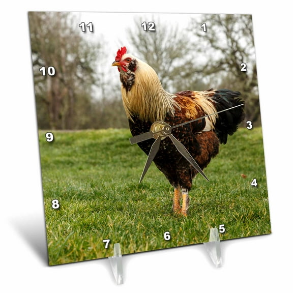 3dRose, USA, Oregon, Shedd, Thompson Mills State Historic Site, rooster., 6x6 Desk Clock