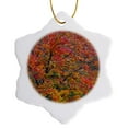 thumbnail image 1 of 3drose, Usa, Pennsylvania, Dingmans Ferry, Autumn Trees - Us39 Bja0111 - Jaynes Gallery, 3 inch Snowflake Porcelain Ornament, 1 of 7