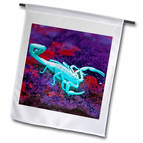 3dRose, USA, Texas, Kimble County. Striped bark scorpion - US44 BJA0079 - Jaynes Gallery, 12 x 18 inch Garden Flag