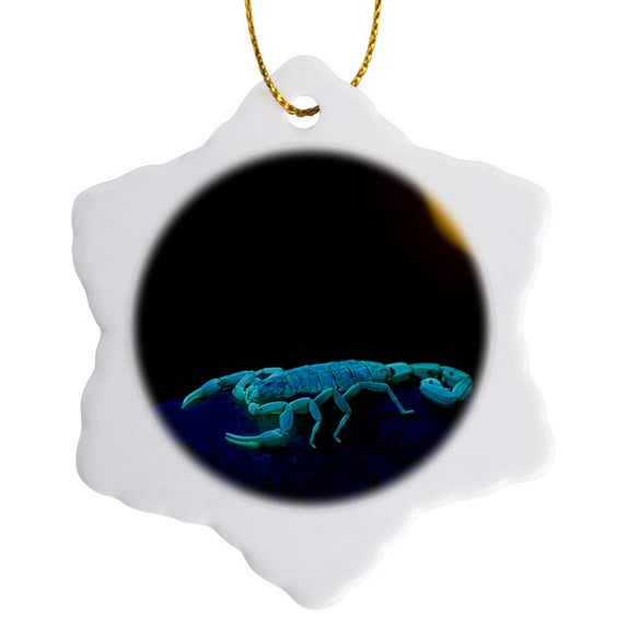 3drose, Usa, Texas, Maverick County. Scorpion - Us44 Bja0161 - Jaynes Gallery, 3 inch Snowflake Porcelain Ornament
