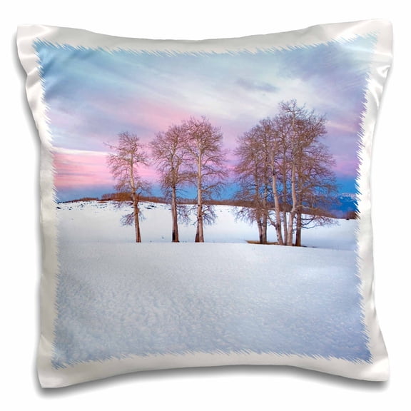 3dRose, USA, Utah, Dixie NF, Boulder Mountain, Aspen, 16x16 inch Pillow Case