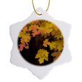 thumbnail image 1 of 3drose, Usa, Utah, Zion National Park. Branch with Yellow Maple Leaves, 3 inch Snowflake Porcelain Ornament, 1 of 7