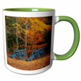 thumbnail image 1 of 3drose, Usa, Virginia, Colonial National Historic Park, French Artillery., 15oz Two-tone Green Mug, 1 of 6