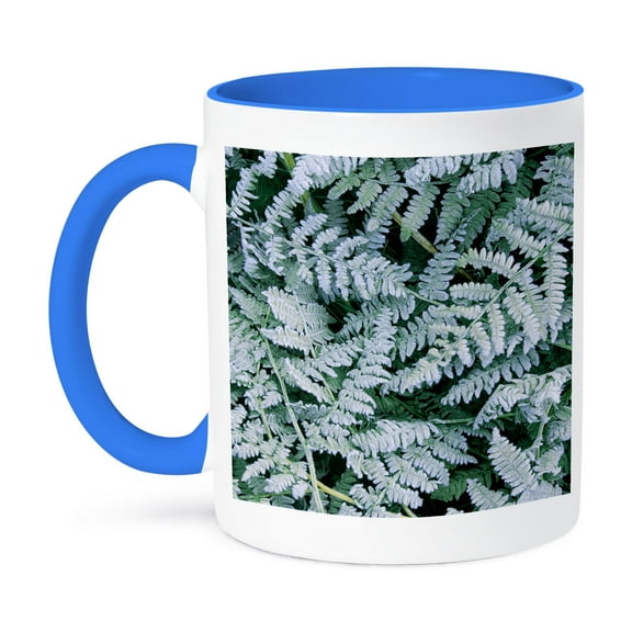 3dRose, USA, Washington, John A Finch Arboretum, Bracken fern with frost, 11oz Two-Tone Blue Mug