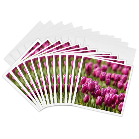 3drose, Usa, Washington, Mt Vernon, Tulip Farm Field - Us48 Mfr0022 - Mfr, 12 Greeting Cards with Envelopes