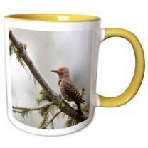 3drose, Usa, Washington. Northern Flicker on Branch in Olympic Np., 15oz Two-tone Yellow Mug