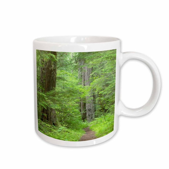 3drose, Usa, Washington, Olympic Nf. Scenic on Lower Big Quilcene River Trail., 11oz Mug