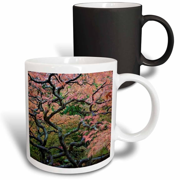 3drose, Usa, Washington, Seattle, Arboretum Japanese Garden, Japanese Maple., 11oz Magic Transforming Mug