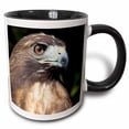 thumbnail image 1 of 3drose, Usvi, St. Croix, Red-tailed Hawk, Bird-ca37 Ajn0035 - Alison Jones, 15oz Two-tone Black Mug, 1 of 6